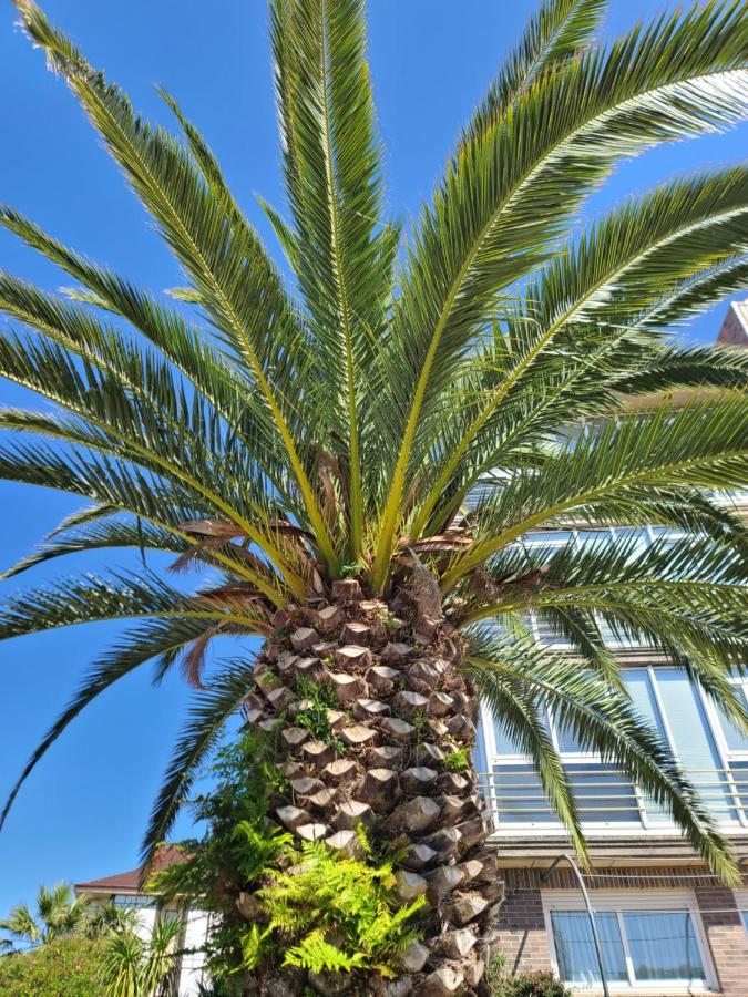 Luminoso Apartamento Playa Ris Con Garaje Noja Bagian luar foto